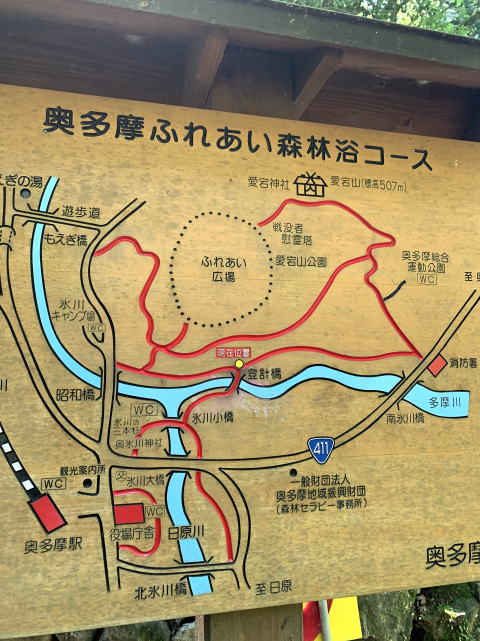 ウエストハイランドホワイトテリア はなちゃん 奥多摩ふれあい森林浴コース